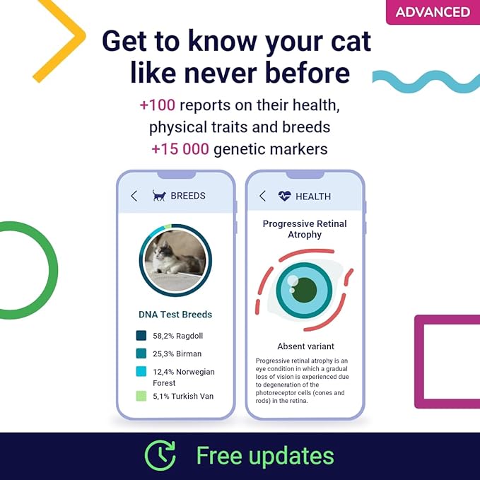 DNA Test for Cats Advanced - (+150 Reports of Breeds, Health and Traits) - Upgrades at no cost