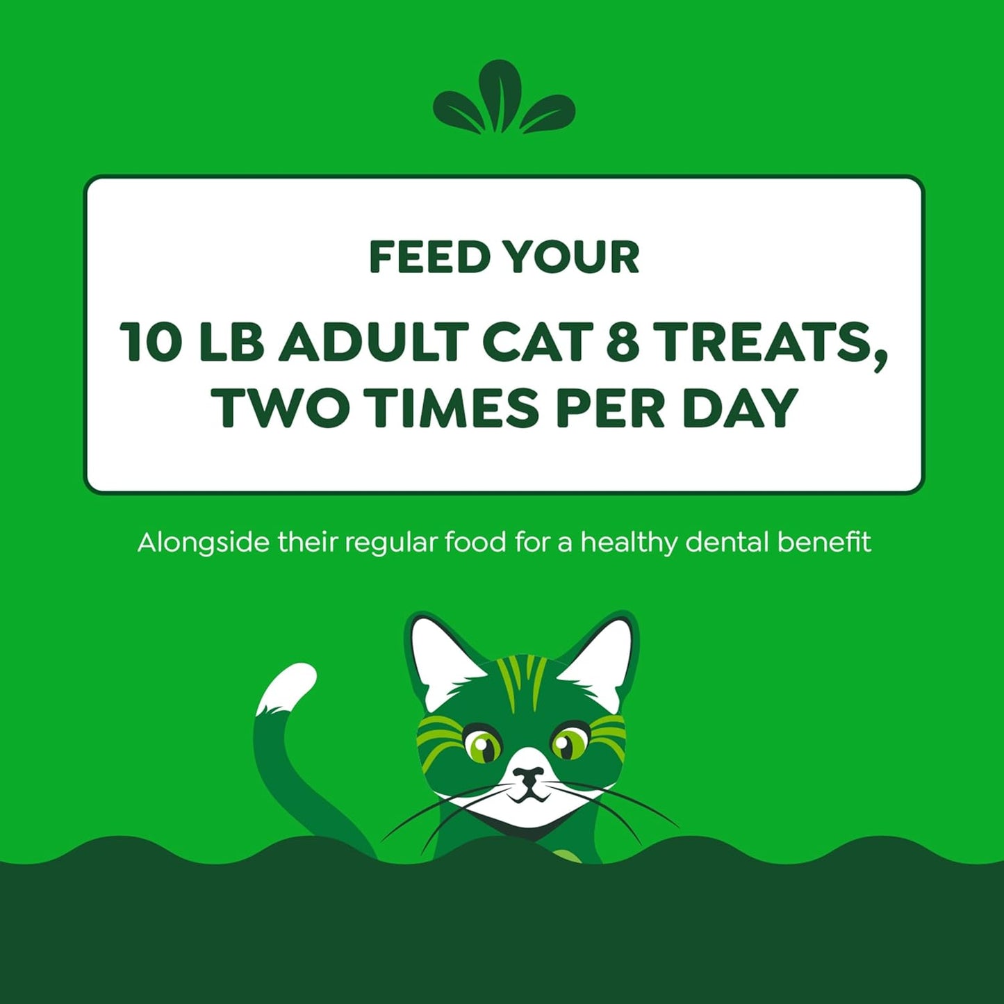 GREENIES Feline Dental Cat Treats