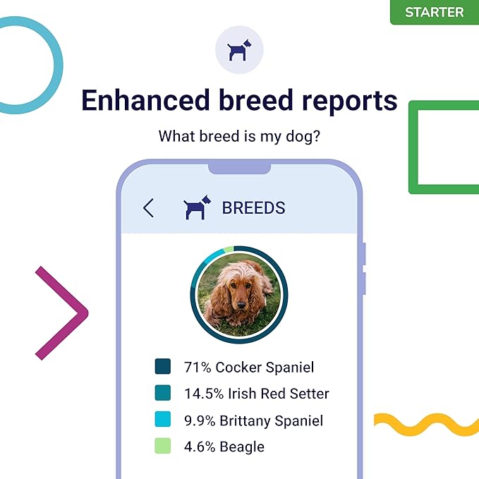 DNA Test for Dogs Starter - (Breeds and Traits Reports) - Updates at no cost