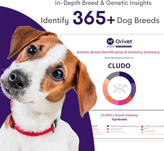 ORIVET Dog DNA Test Kit – Comprehensive Dog DNA Test Kit for Over 330+ Breed Identification