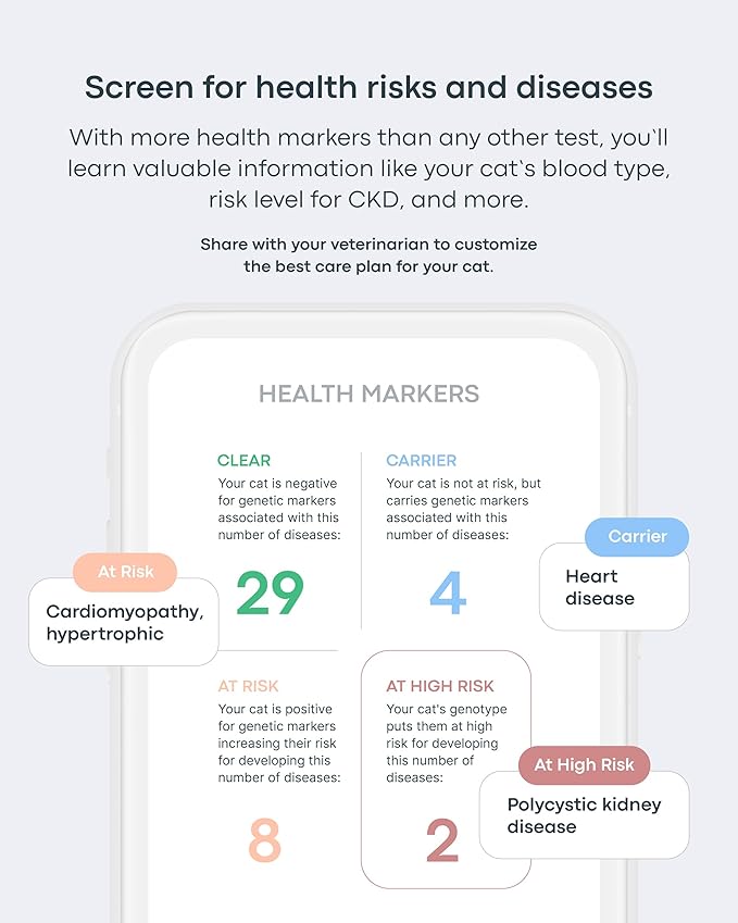 Basepaws Cat DNA Test Kit - Comprehensive Breed, Health and Dental Analysis Across 114 Traits for Accurate and Easy-to-Use Genetic Insights