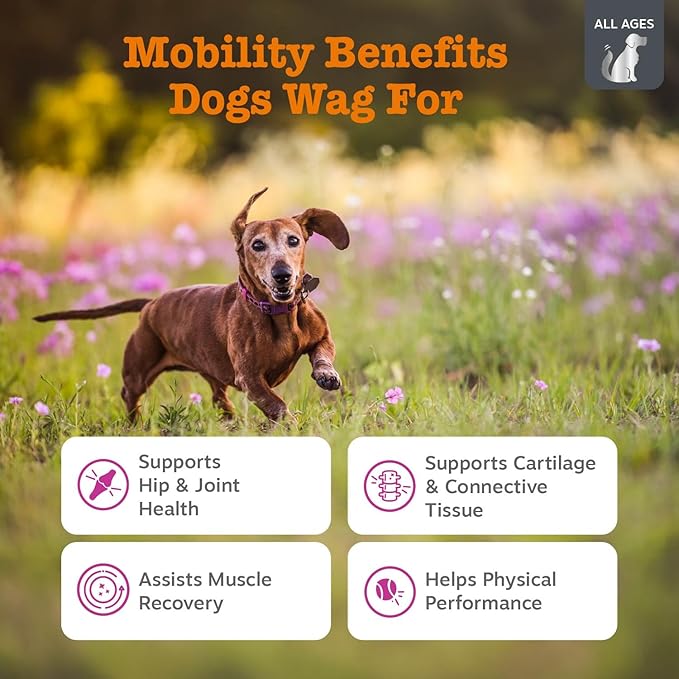 Zesty Paws Vet Strength Mobility Bites Beef & Bacon Flavor Hip & Joint Support 90 Count