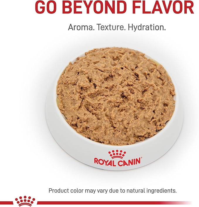 Royal Canin Veterinary Diet Feline Gastrointestinal Moderate Calorie Adult Thin Slices in Gravy Cat Food, 3 oz (Pack of 24)