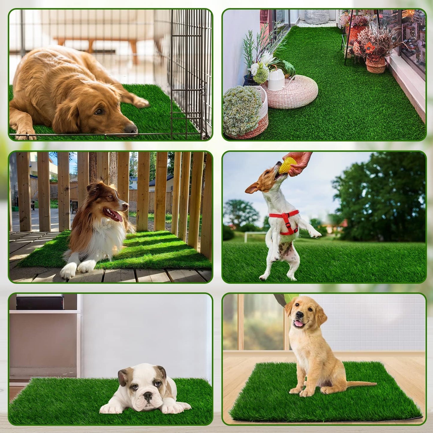 Grass Pad for Dogs 59.1 x 39.4 inches, Strong Absorbency Soft and Real Grass for Pets Potty Training, Easy to Clean Fake Grass for Dog Indoor Outdoor Use (1 Pack)