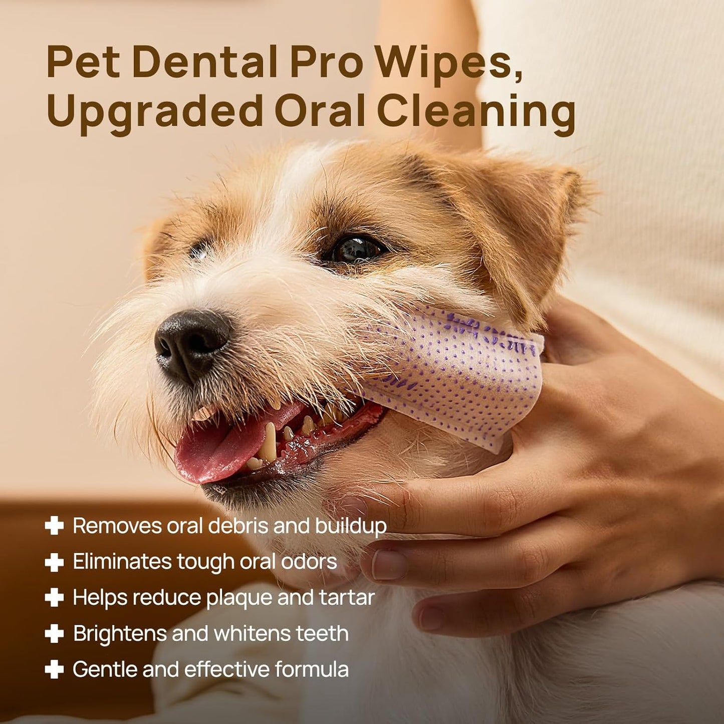 HICC PET Pro Dog Teeth Cleaning Wipes, Vet-Recommended Finger Toothbrush for Dogs & Cats, 50 Count (Peanut Butter)