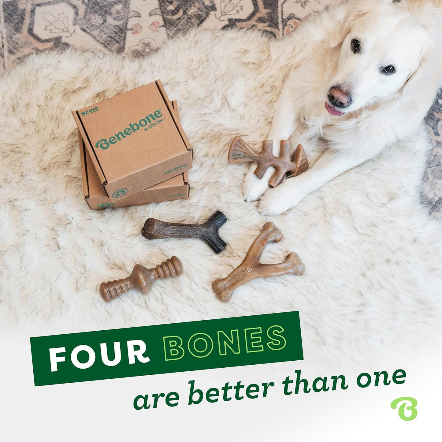 Benebone Medium 4-Pack Dog Chew Toys
