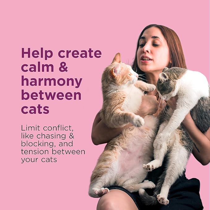Comfort Zone 30 Day Starter Kit; 1 Multicat Diffuser & 1 Refill