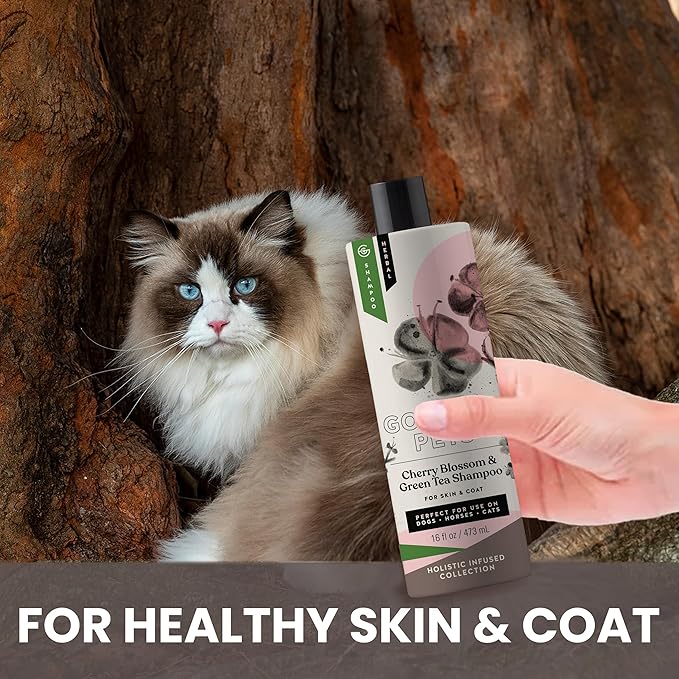 Holistic Natural Derived Cherry Blossom & Green Tea Pet Shampoo: Veterinarian Recommended