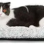 Self Warming Cat Bed Self Heating Cat Dog Mat 24 x 18 inch Extra Warm Thermal Pet Pad
