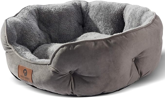 Asvin Small Dog Bed for Small Dogs, Cat Beds for Indoor Cats, Pet Bed for Puppy and Kitty