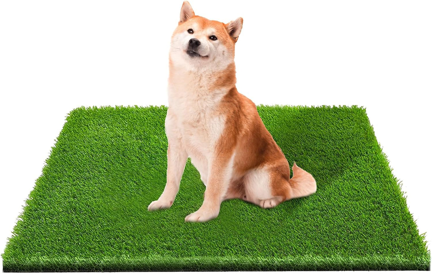 CooZero Artificial Grass, Professional Dog Grass Mat, Potty Training Rug and Replacement Turf Outdoor Rug Patio Lawn Decoration, Easy to Clean with Drainage (39.4 x 31.5 inch)