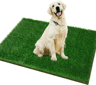 Grass Pad for Dogs 51.2 x 31.5 inches - Strong Absorbency Soft Artificial Grass for Pets