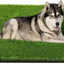 CooZero Artificial Grass, Professional Dog Grass Mat, Potty Training Rug and Replacement Turf Outdoor Rug Patio Lawn Decoration, Easy to Clean with Drainage Holes(47.3x31.5 inches)
