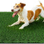 Grass Pad for Dogs 32 x 48 inches, Strong Absorbency Soft Artificial Grass for Pets