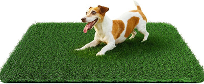 Grass Pad for Dogs 32 x 48 inches, Strong Absorbency Soft Artificial Grass for Pets