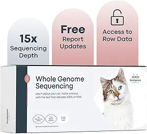 Basepaws Cat DNA Test Kit - Comprehensive Breed, Health and Dental Analysis Across 114 Traits for Accurate and Easy-to-Use Genetic Insights