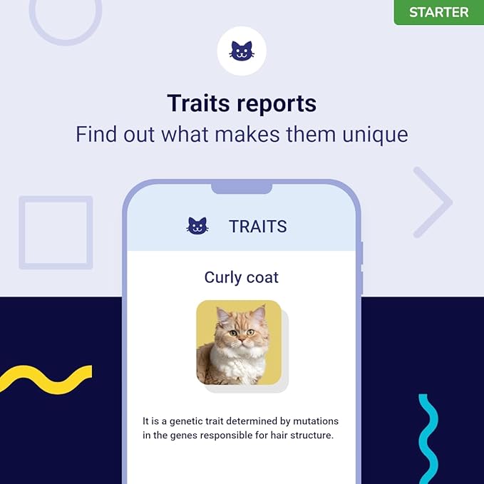 DNA Test for Cats Starter - (Breeds and Traits Reports) - Upgrades at no cost