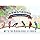 Armstrong Wild Bird Food Safflower Bird Seed, 20 Pounds (Pack of 2)