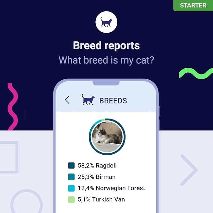 DNA Test for Cats Starter - (Breeds and Traits Reports) - Upgrades at no cost