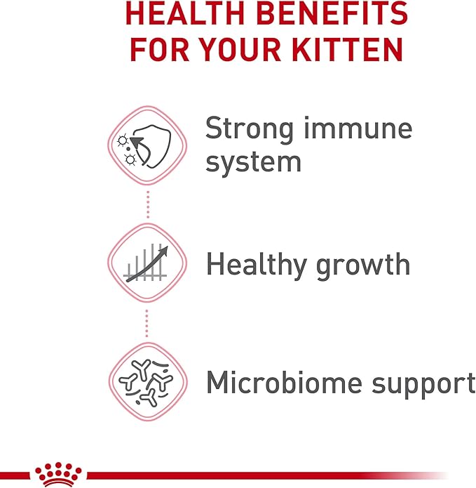 Royal Canin Feline Health Nutrition Kitten Thin Slices in Gravy Canned Cat Food, 3 Oz Can (12-Count)