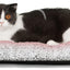 Self Warming Cat Bed Self Heating Cat Dog Mat 24 x 18 inch Extra Warm Thermal Pet Pad