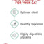Royal Canin Feline Care Nutrition Digestive Care Adult Dry Cat Food, 6 lb Bag