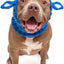 Zoo Snoods Blue Ox Costume - Warm Knit Dog Snood Wrap for Pets, Neck Ear Cover Protection for Halloween Winter (Small)