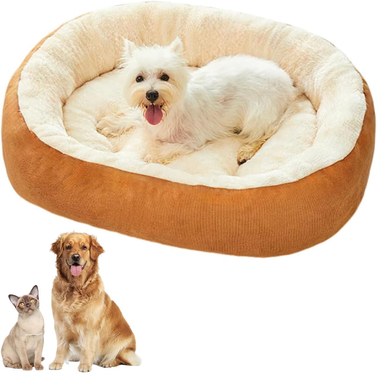 Cat Dog Bed for All Size Cats & Small Dogs