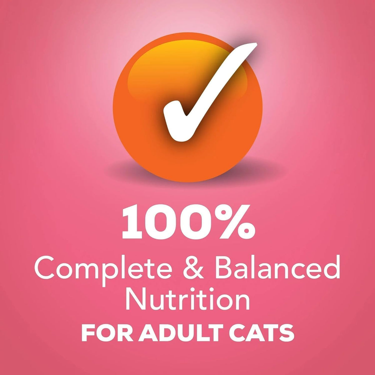 Friskies Purina Salmon Dinner Pate Wet Cat Food 5.5 Ounce (Pack of 12)