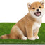 CooZero Artificial Grass, Professional Dog Grass Mat, Potty Training Rug and Replacement(39.4 x 19.7 inch)