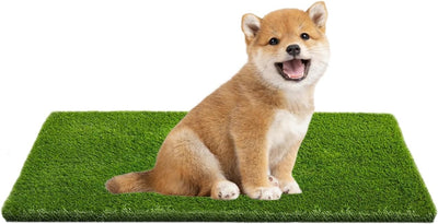CooZero Artificial Grass, Professional Dog Grass Mat, Potty Training Rug and Replacement(39.4 x 19.7 inch)