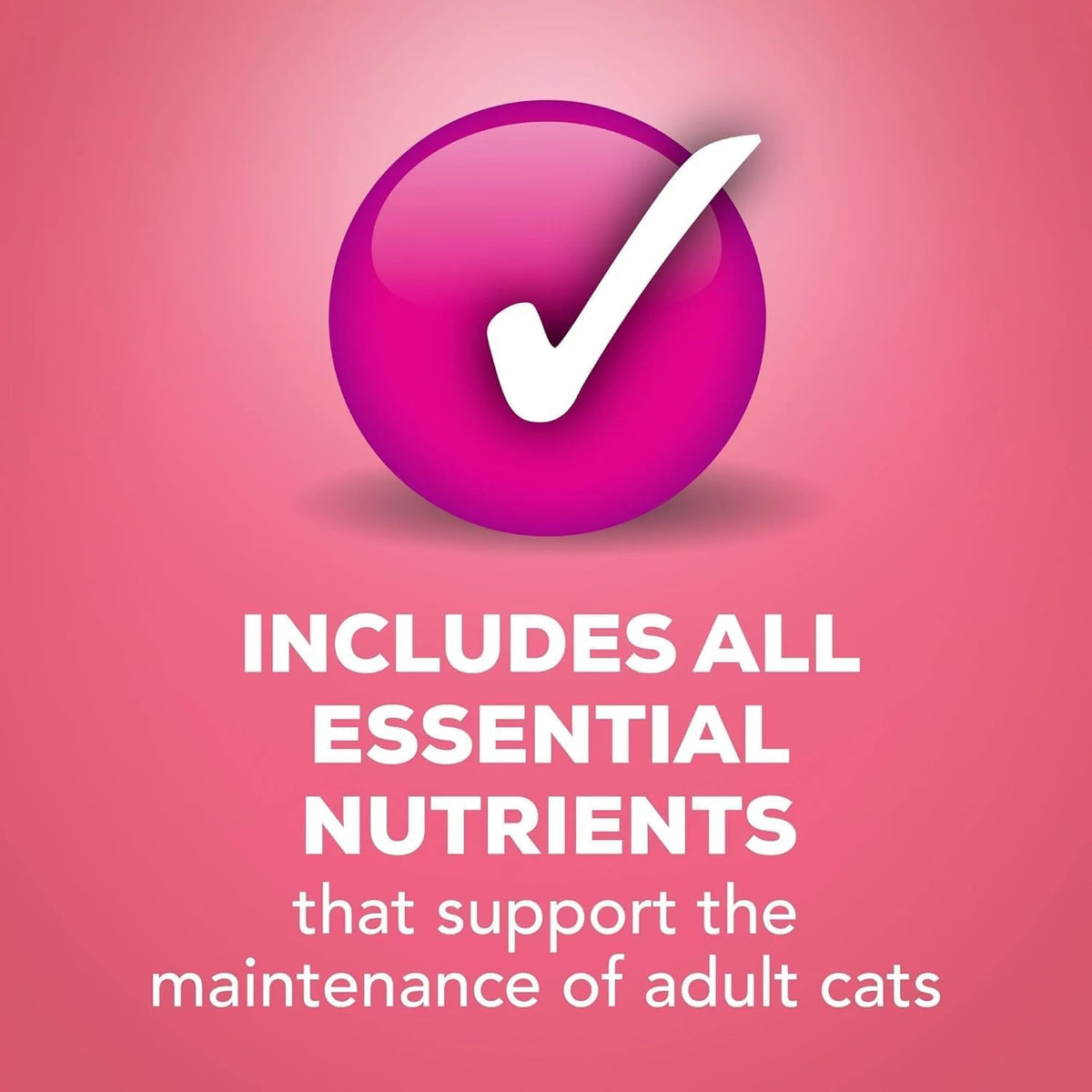 Friskies Purina Salmon Dinner Pate Wet Cat Food 5.5 Ounce (Pack of 12)