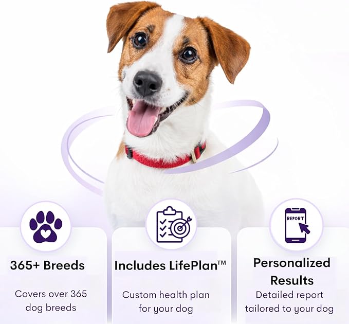 ORIVET Dog DNA Test Kit – Comprehensive Dog DNA Test Kit for Over 330+ Breed Identification