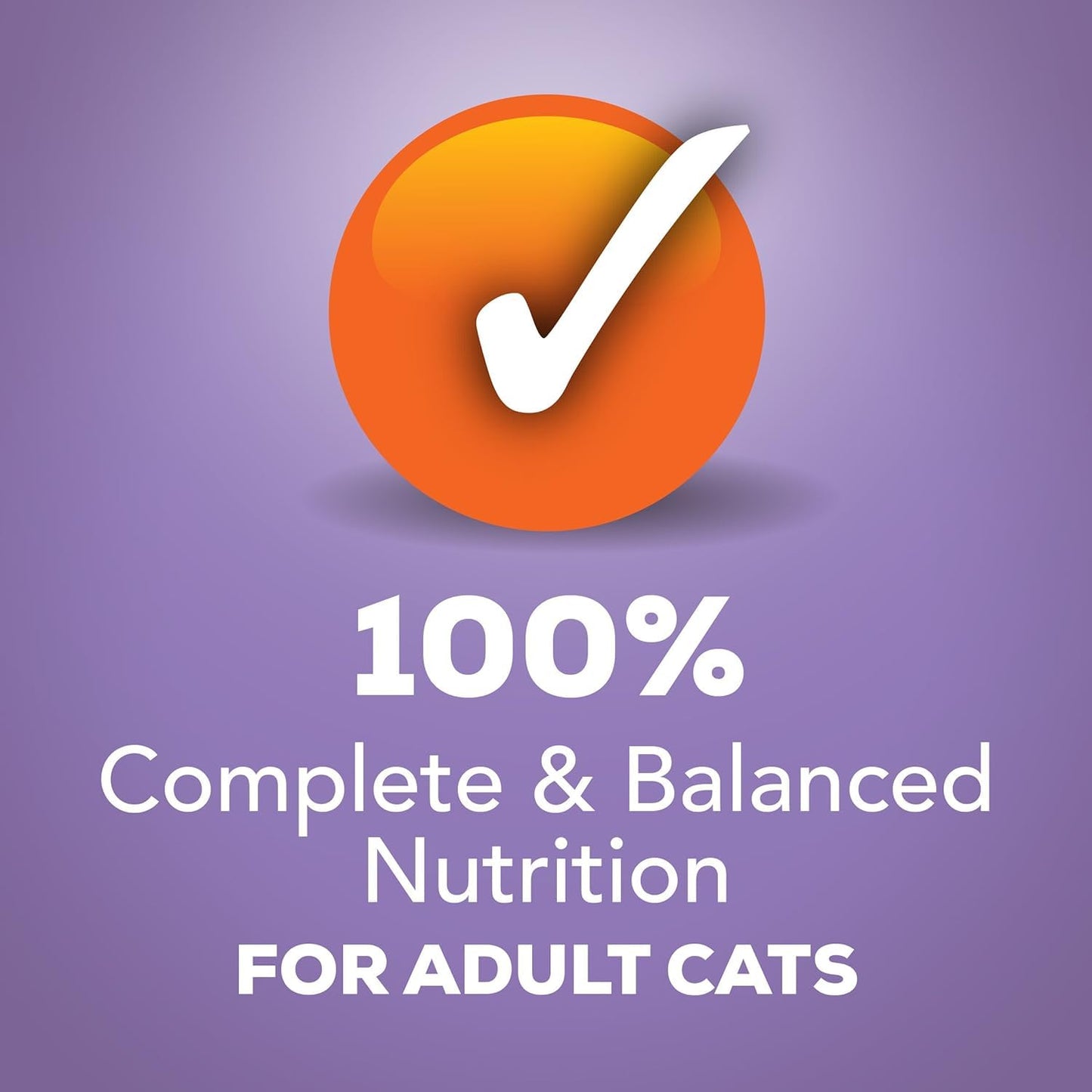 Friskies Savory Shreds Turkey and Cheese Wet Cat Food (5.5-oz can, case of 24)
