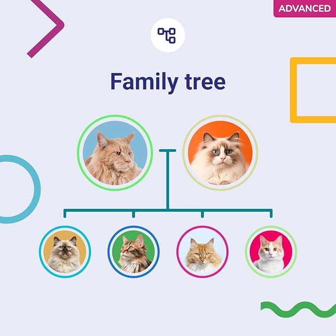 DNA Test for Cats Advanced - (+150 Reports of Breeds, Health and Traits) - Upgrades at no cost