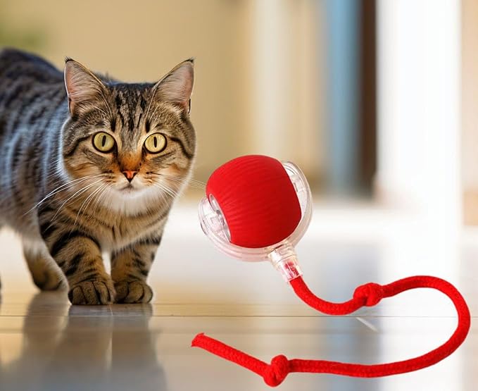 Automatic Cat Ball, RED, LED Lights, Indoors for Active Cats - Rechargeable, Smart Rolling, Speedy Tail/Rope