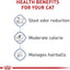Royal Canin Feline Health Nutrition Indoor Adult Dry Cat Food, 3 lb Bag