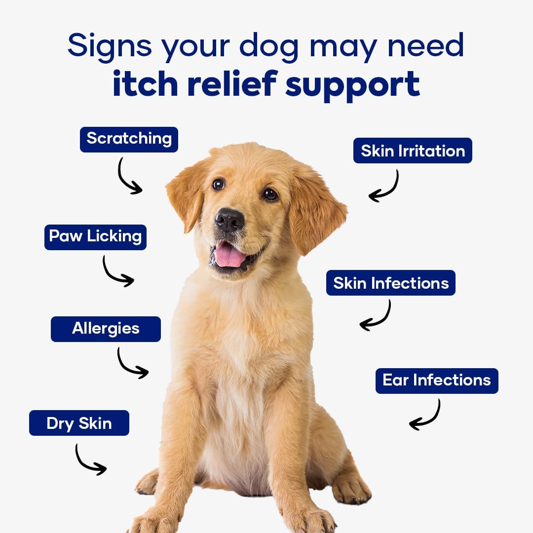 Itch & Allergy Combo: Itch Relief Formula & Allergy & Immune Formula