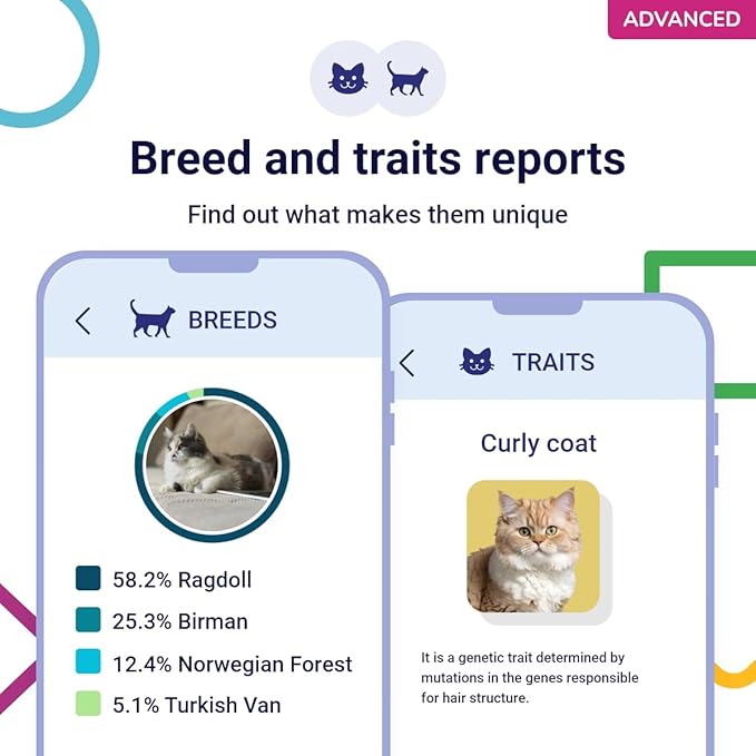 DNA Test for Cats Advanced - (+150 Reports of Breeds, Health and Traits) - Upgrades at no cost