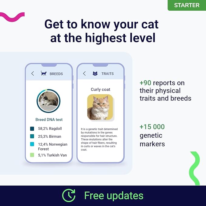 DNA Test for Cats Starter - (Breeds and Traits Reports) - Upgrades at no cost