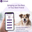 ORIVET Dog DNA Test Kit – Comprehensive Dog DNA Test Kit for Over 330+ Breed Identification
