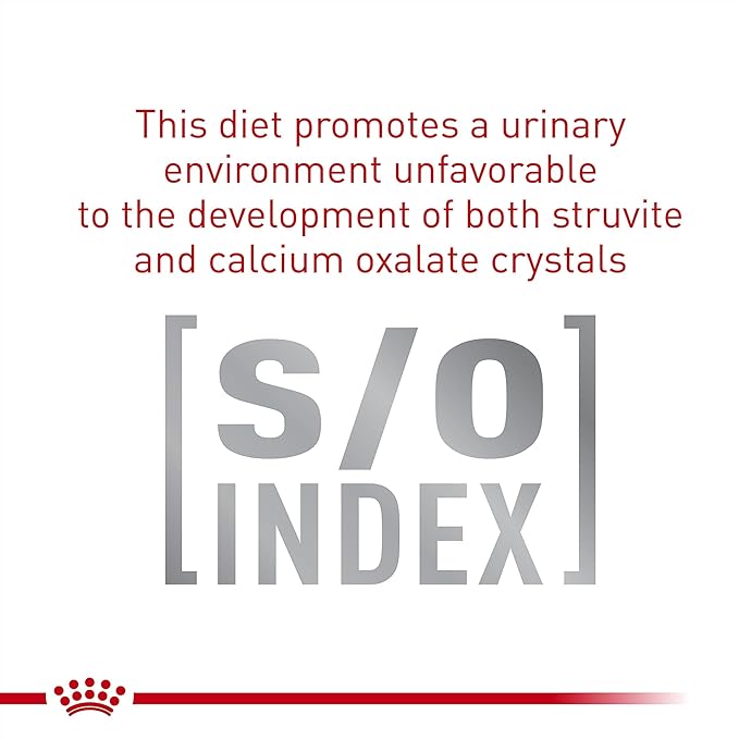 Royal Canin Veterinary Diet Gastrointestinal Fiber Response Dry Cat Food 8.8 lb