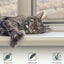 Reflective AirTag Cat Collar, Integrated Cat Tracker Collar with Air Tag Holder and Bell