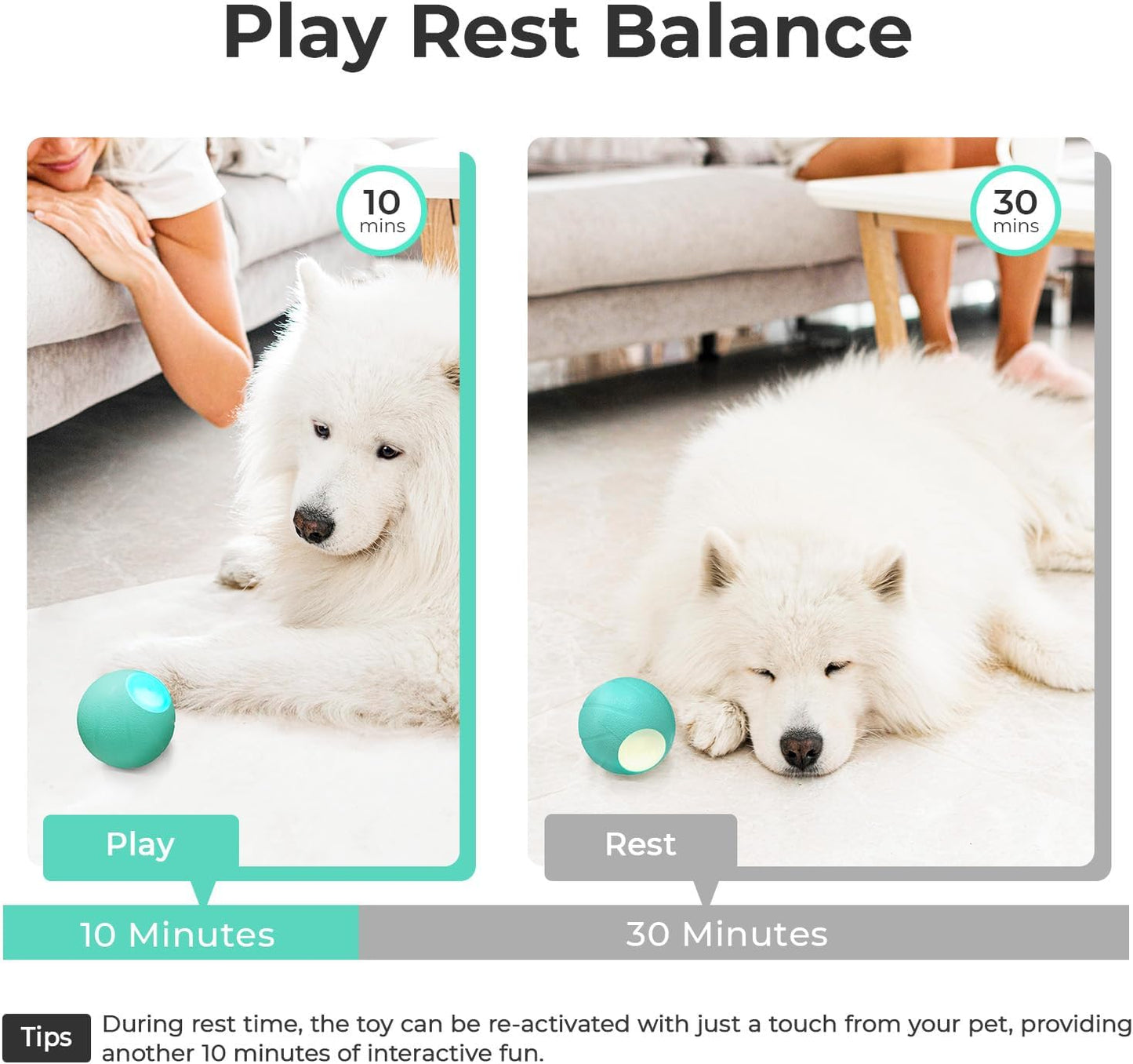 Interactive Dog Toys, Wicked Ball PE, 3 Interactive Modes,Enhanced Rubber Active Rolling Dog Toy with LED Lights for Medium Large Dogs