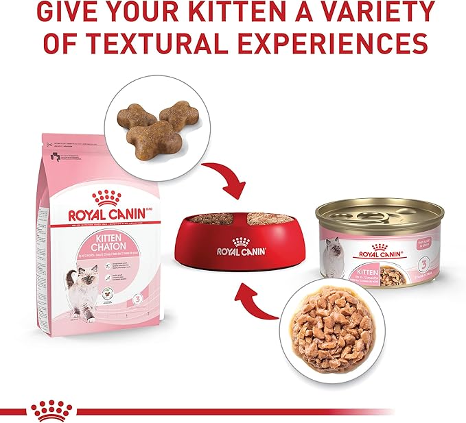 Royal Canin Feline Health Nutrition Kitten Thin Slices in Gravy Canned Cat Food, 3 Oz Can (12-Count)