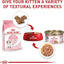 Royal Canin Feline Health Nutrition Kitten Thin Slices in Gravy Cat Food, 3 oz (Pack of 24)