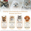 75L Large Pet Dryer Box for Cats & Small Dogs - Automatic 360° Rapid Drying