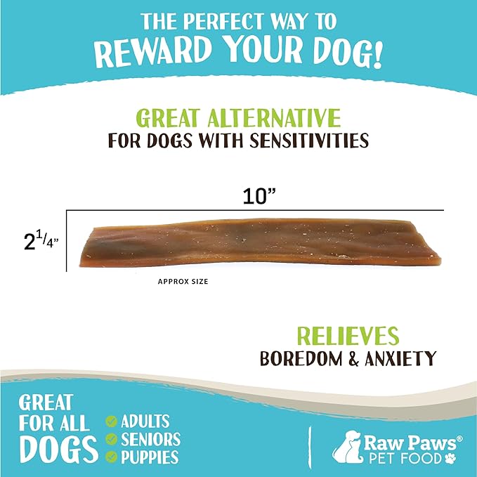 Raw Paws Camel Skin Chews for Dogs, 10-inch (10-Count)