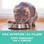 Purina ONE Sensitive Stomach, Sensitive Skin, Natural Dry Cat Food, +Plus Sensitive Skin and Stomach Formula - 16 lb. Bag