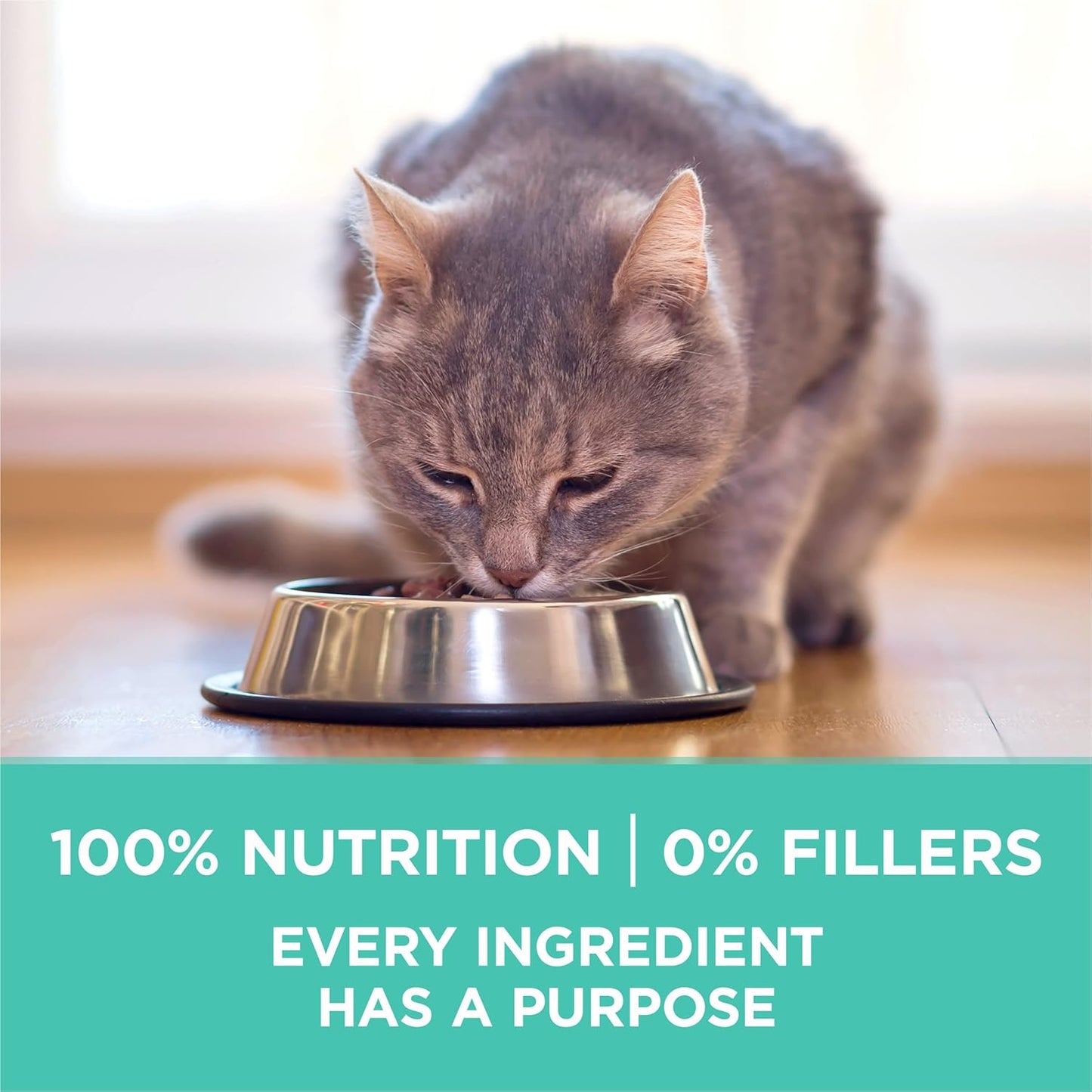 Purina ONE Sensitive Stomach, Sensitive Skin, Natural Dry Cat Food, +Plus Sensitive Skin and Stomach Formula - 16 lb. Bag